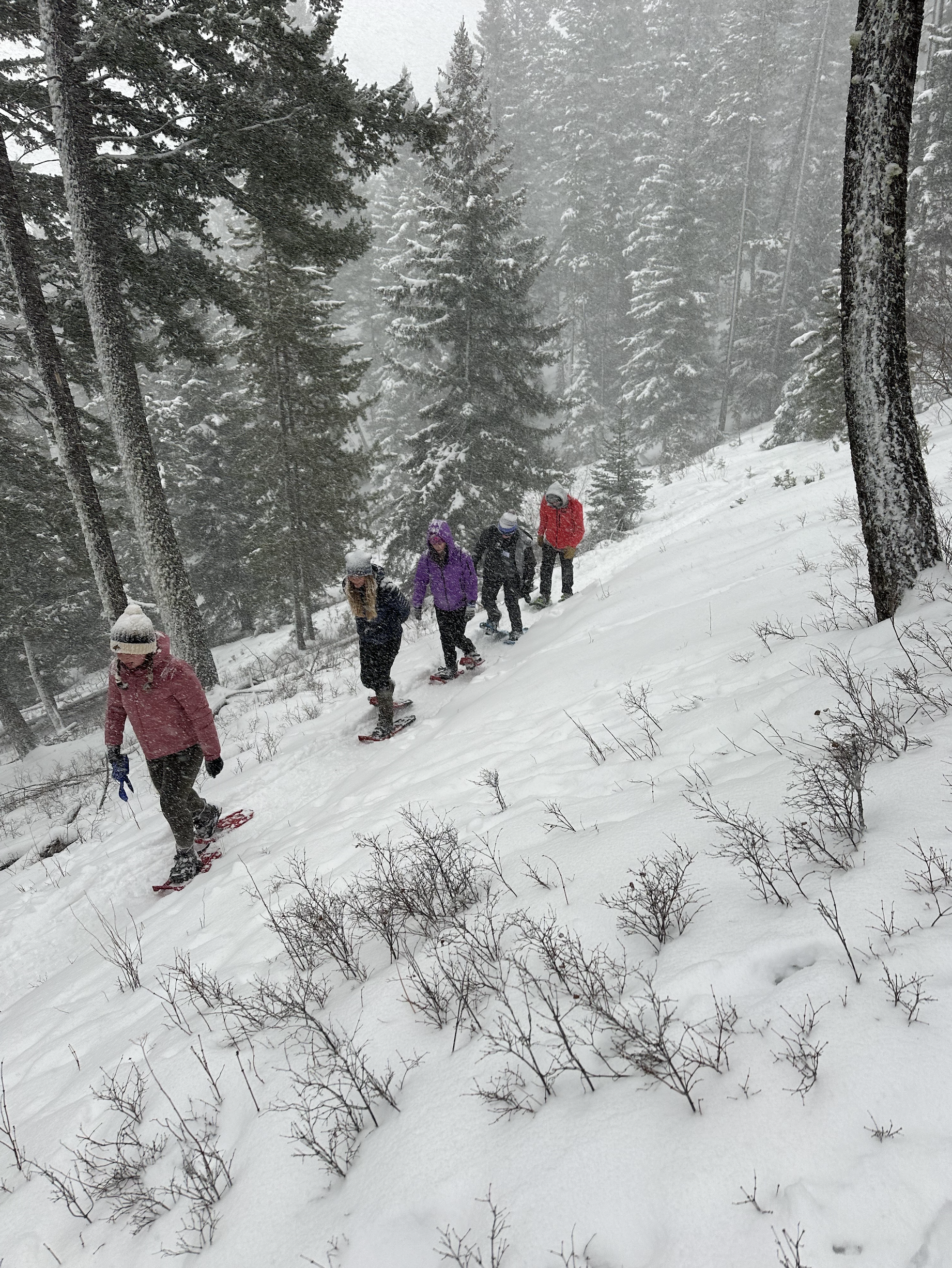 Students snow shoeing in a snowy mountain at the winter leafdership summit