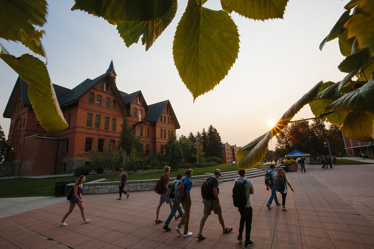 Students walking on-campus Students walking on-campus