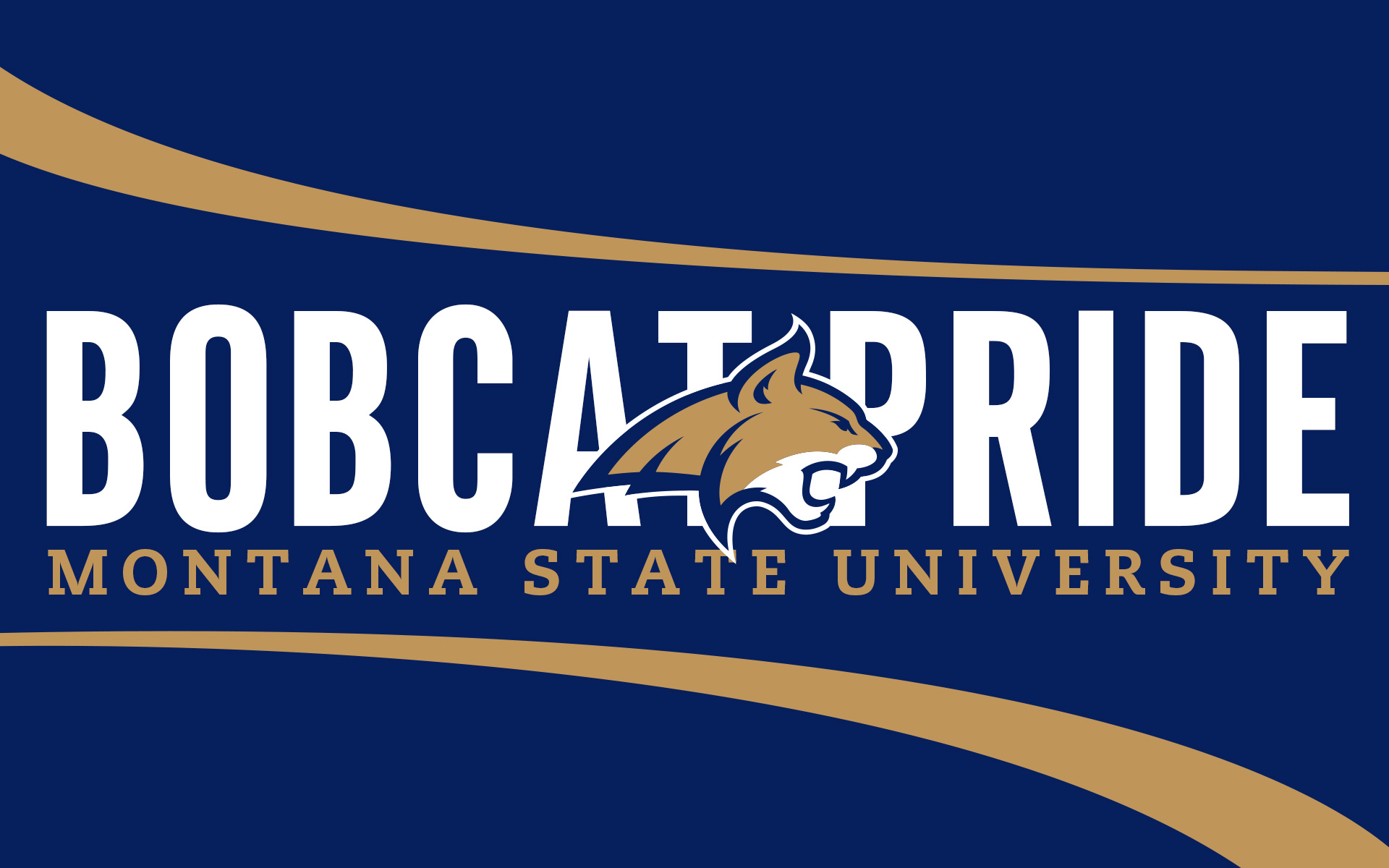 bobcat pride background bobcat pride background