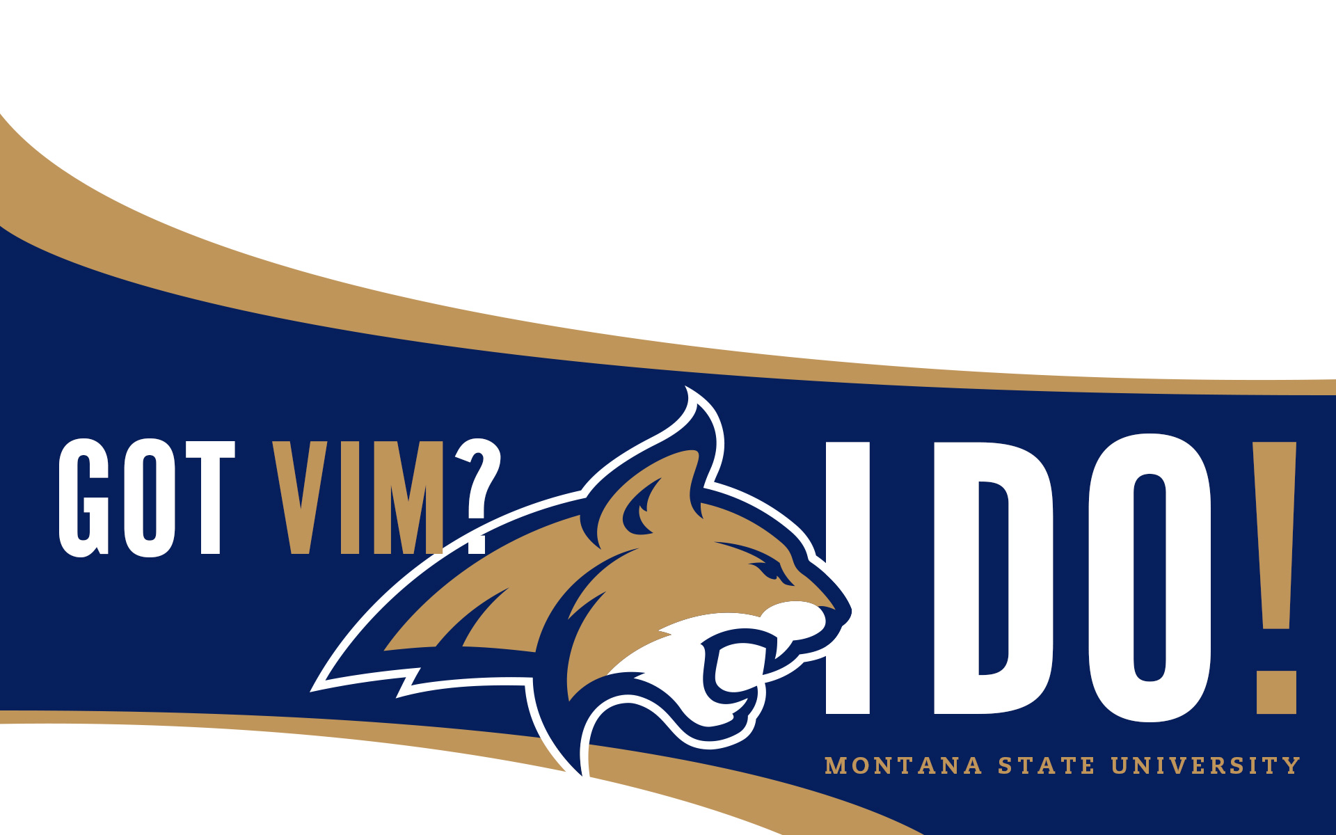 got vim got vim