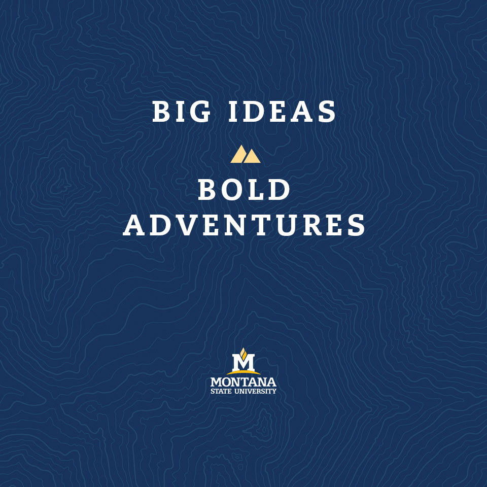 big ideas big ideas