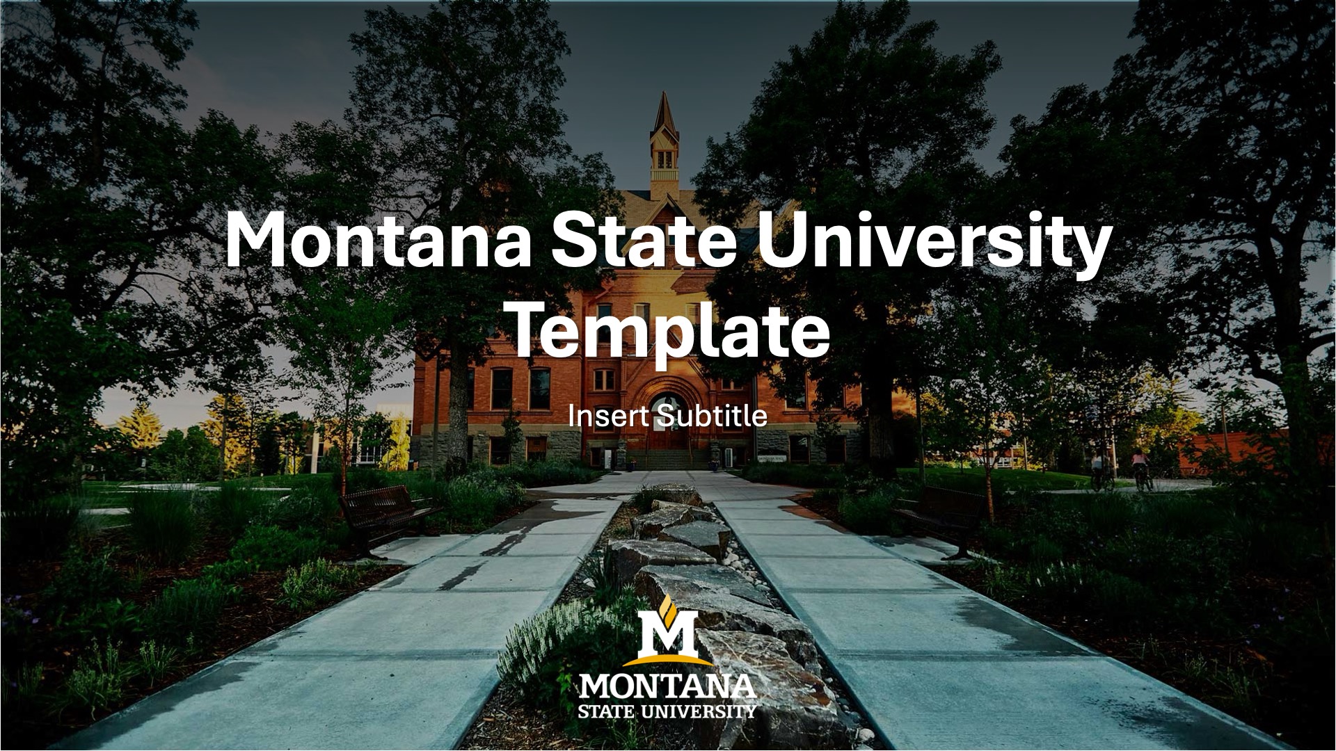 MSU PowerPoint template