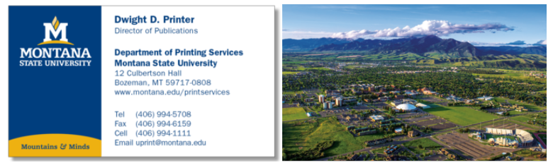business card example business card example