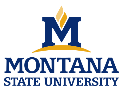 MSU core logo MSU core logo