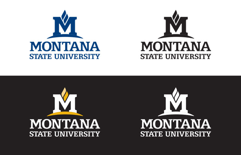 MSU logo color examples MSU logo color examples