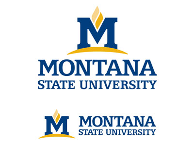 MSU core logo-vertical MSU core logo-vertical and horizontal