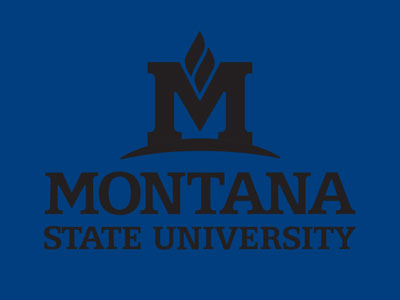 Examples of bad contrast for the logo Black MSU logo on blue background