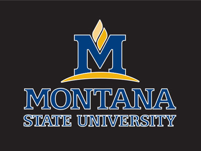 Example of going against brand standards by having a white outline MSU core logo with a white outline