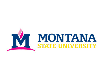 Example of changing the colors of the MSU logo Put Image Description Here