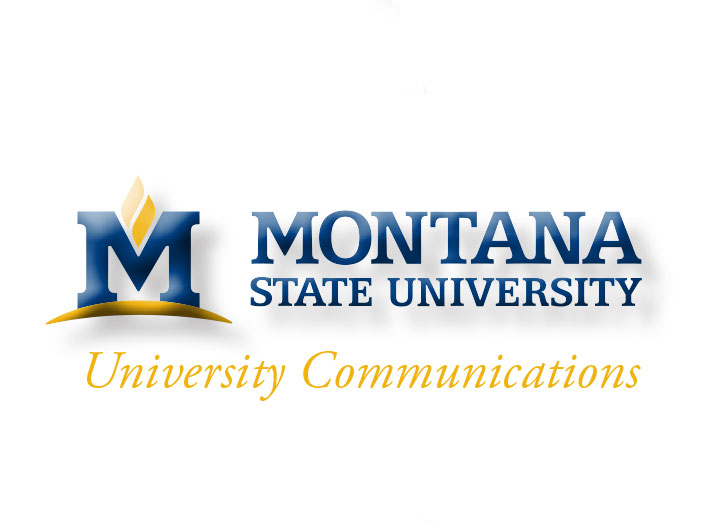 Example of adding type or effects to the MSU logo MSU logo altered with "University Communications" at the bottom with a drop shadow