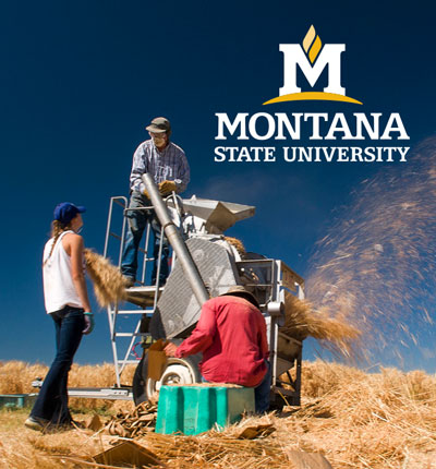 MSU contrast example on a photo Photo of MSU Ag students with the MSU reverse color logo in the right hand corner