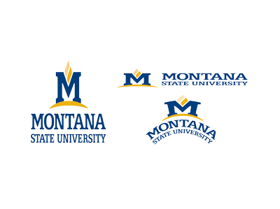 Example of separating the logo Example of separating the logo