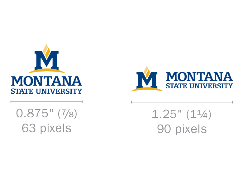MSU logo color examples MSU logo sizes. 0.875 inches or 63 pixels or vertical logos and 1.25 inches or 90 pixels