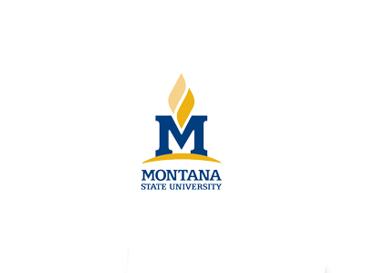 Example of the MSU logo having its elements resized Example of the MSU logo having its elements resized