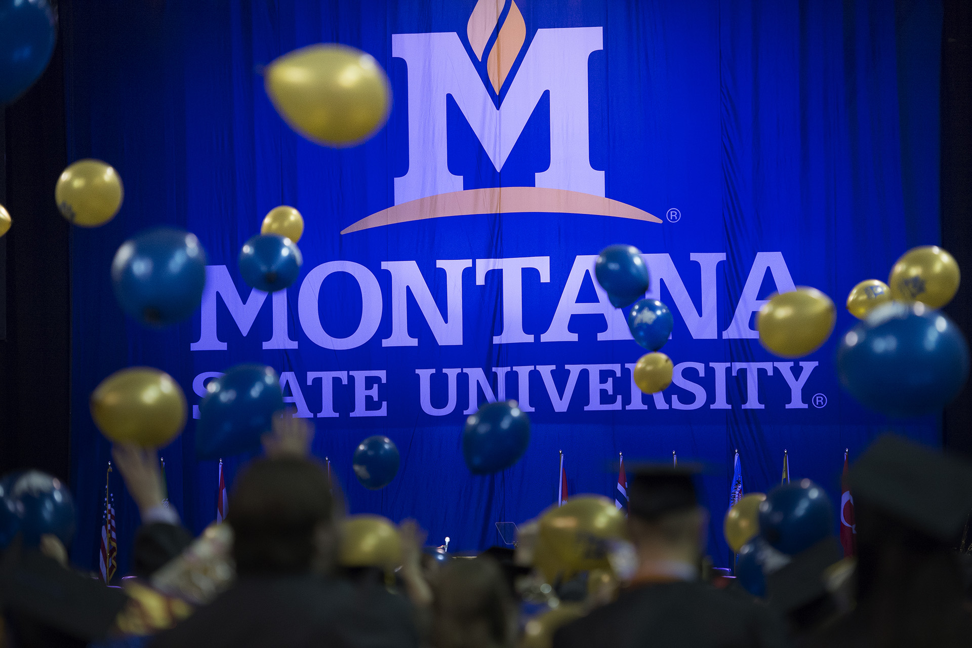 graduation ballons graduation ballons