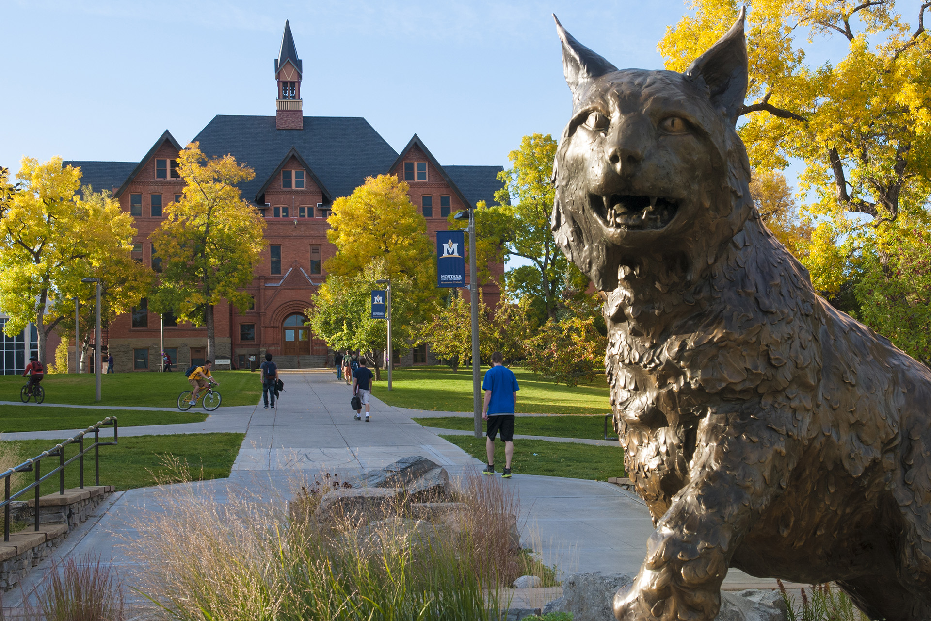 msu campus background msu campus background