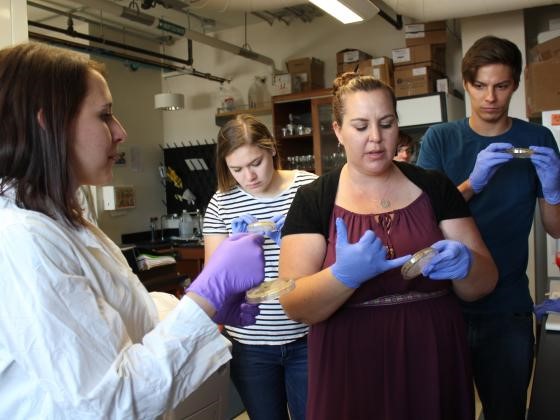 Collins Tour 2017 Voyich lab Tour