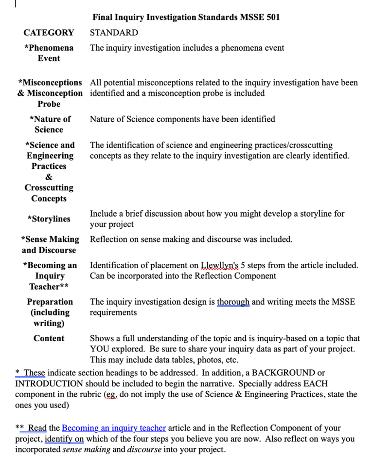 Rubric Example