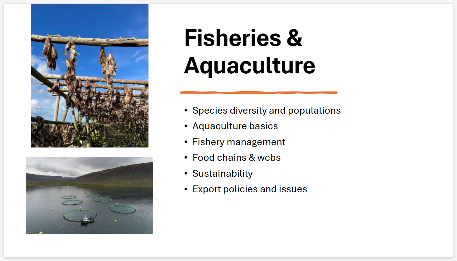 slide 6
