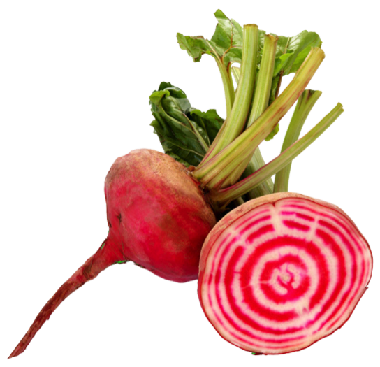 Chioggia Beet image of beets
