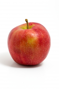 Apple on white apple image