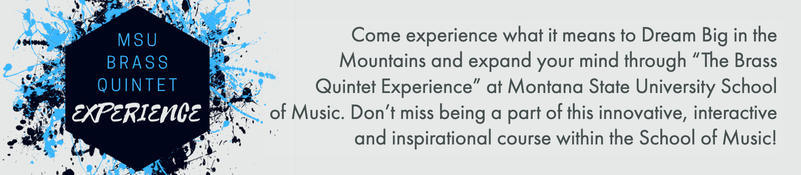 The Brass Quintet Experience The Brass Quintet Experience
