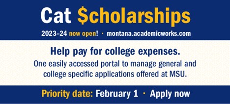 2023 2024 cat scholarships cat scholarships 2023 2024