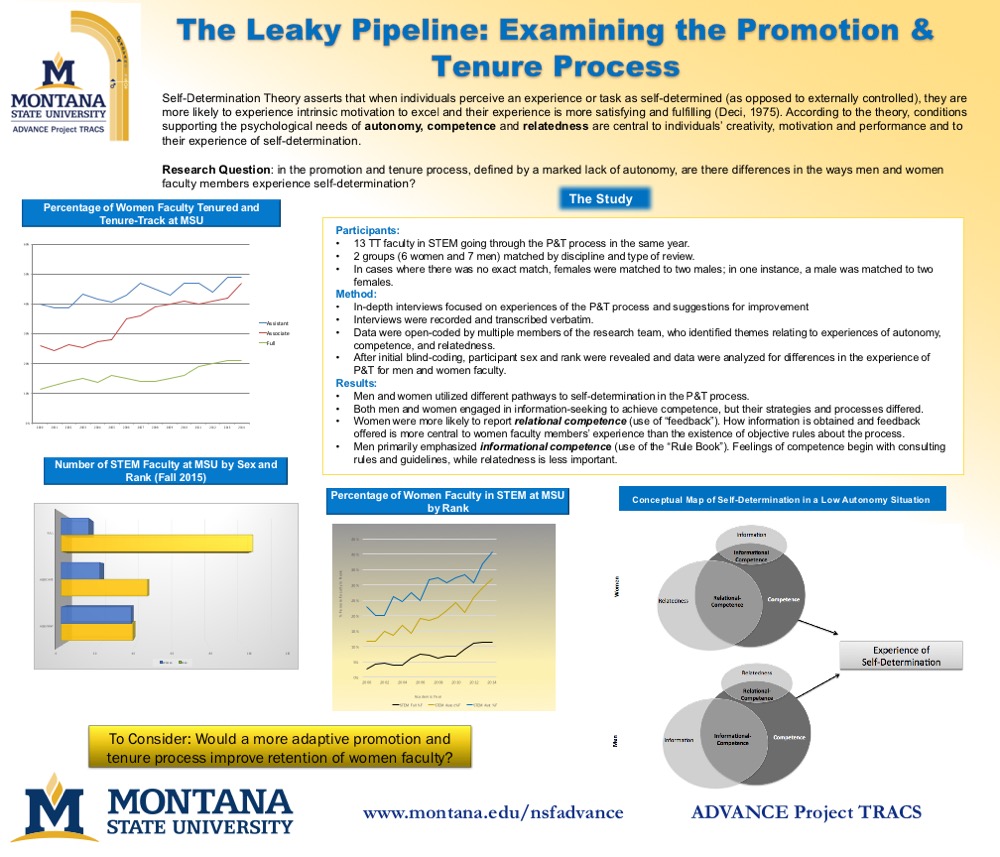 Promotion and Tenure Promotion and Tenure