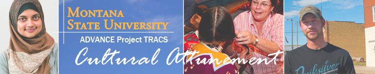 Cultural Attunement Cultural Attunement