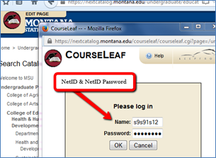 name and password login cue to enter NETID and NETID password under "name" and "password"
