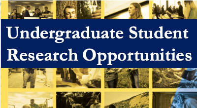 Undergraduate student research opportunities Undergraduate student research opportunities