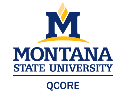 Qcore Logo