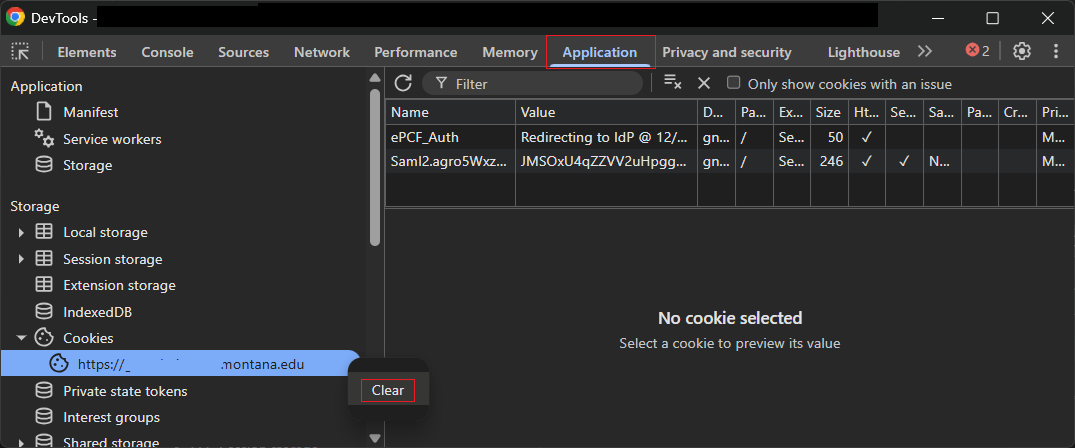Chrome Dev Tools