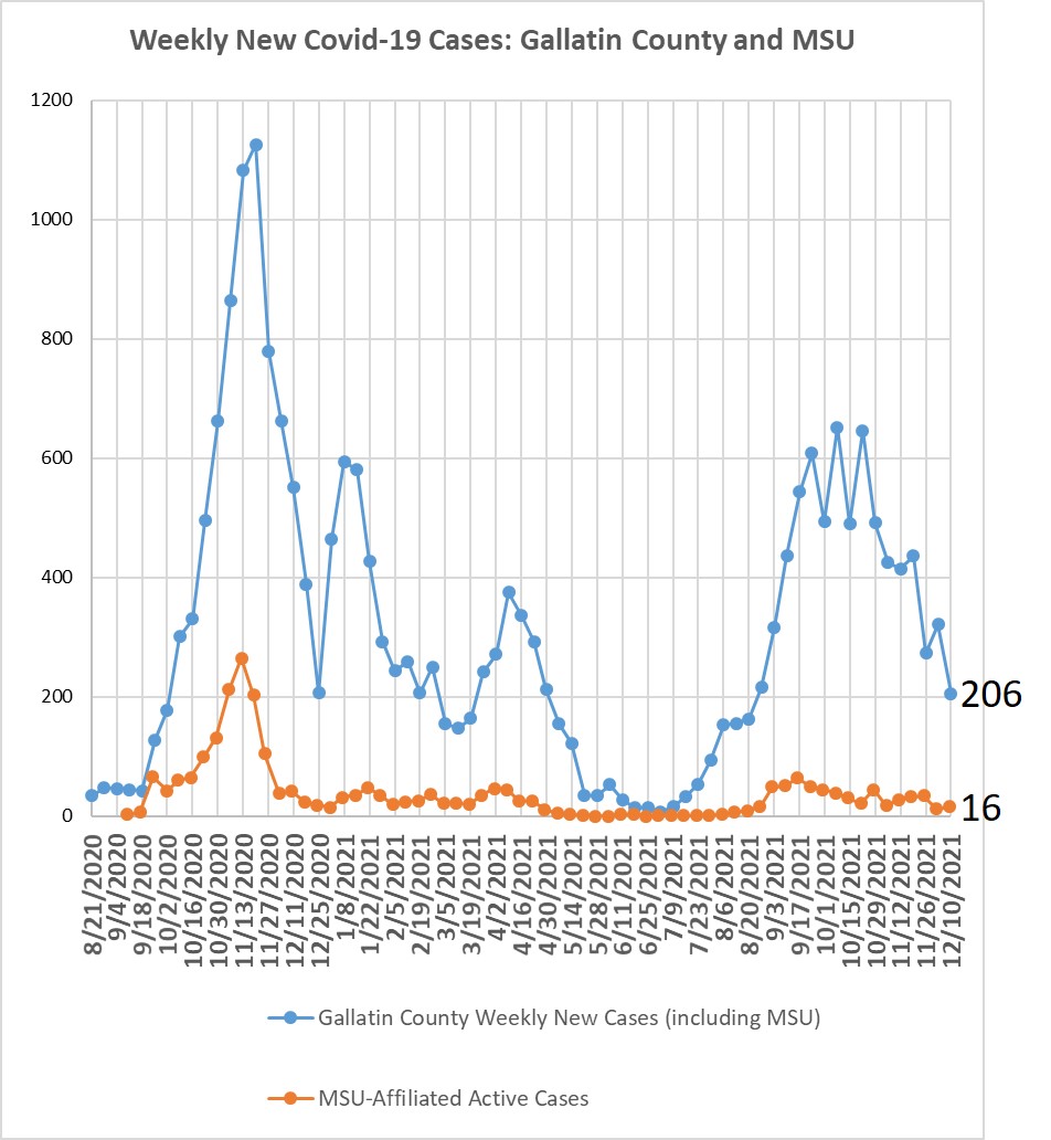 cases in Gallatin County and MSU affiliated