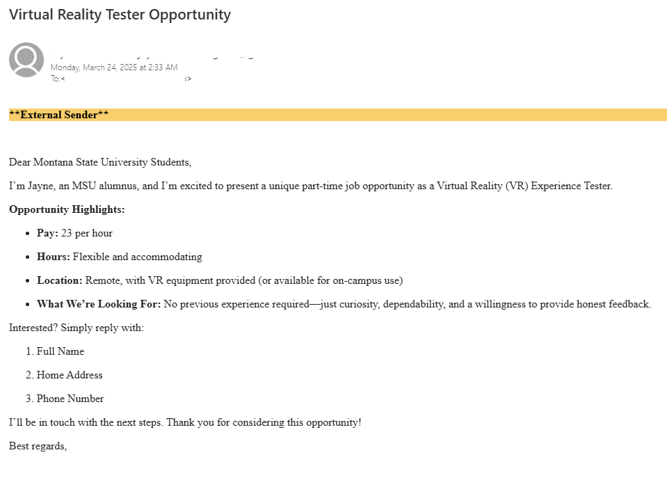 fake job offer email Email describing a fake offer of VR job